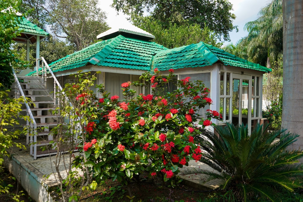 Village Machaan Resort 4/46