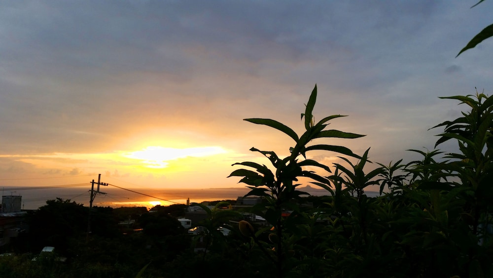 Churamui Terrace 36/50