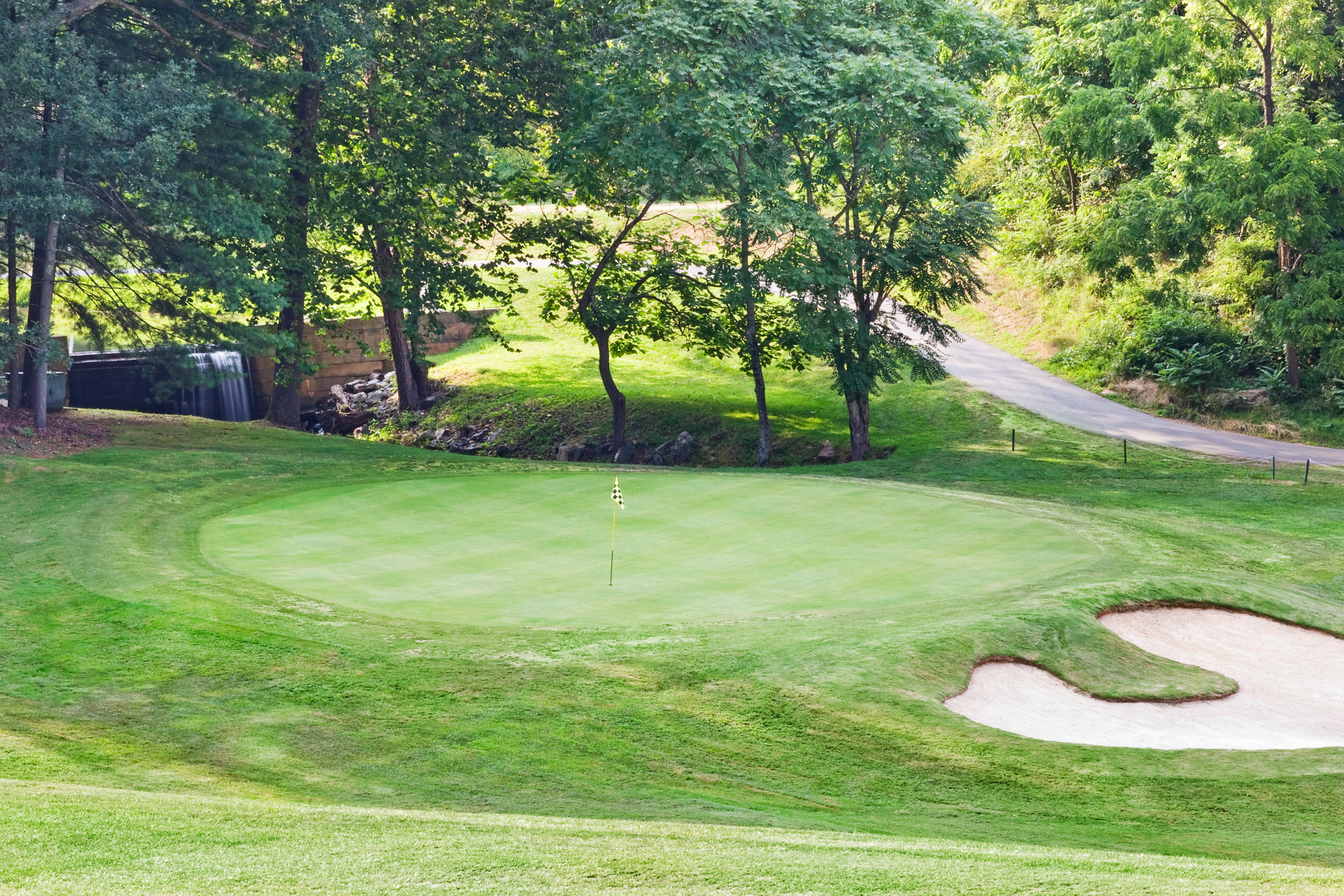 Crowne Plaza Resort Asheville 65/70