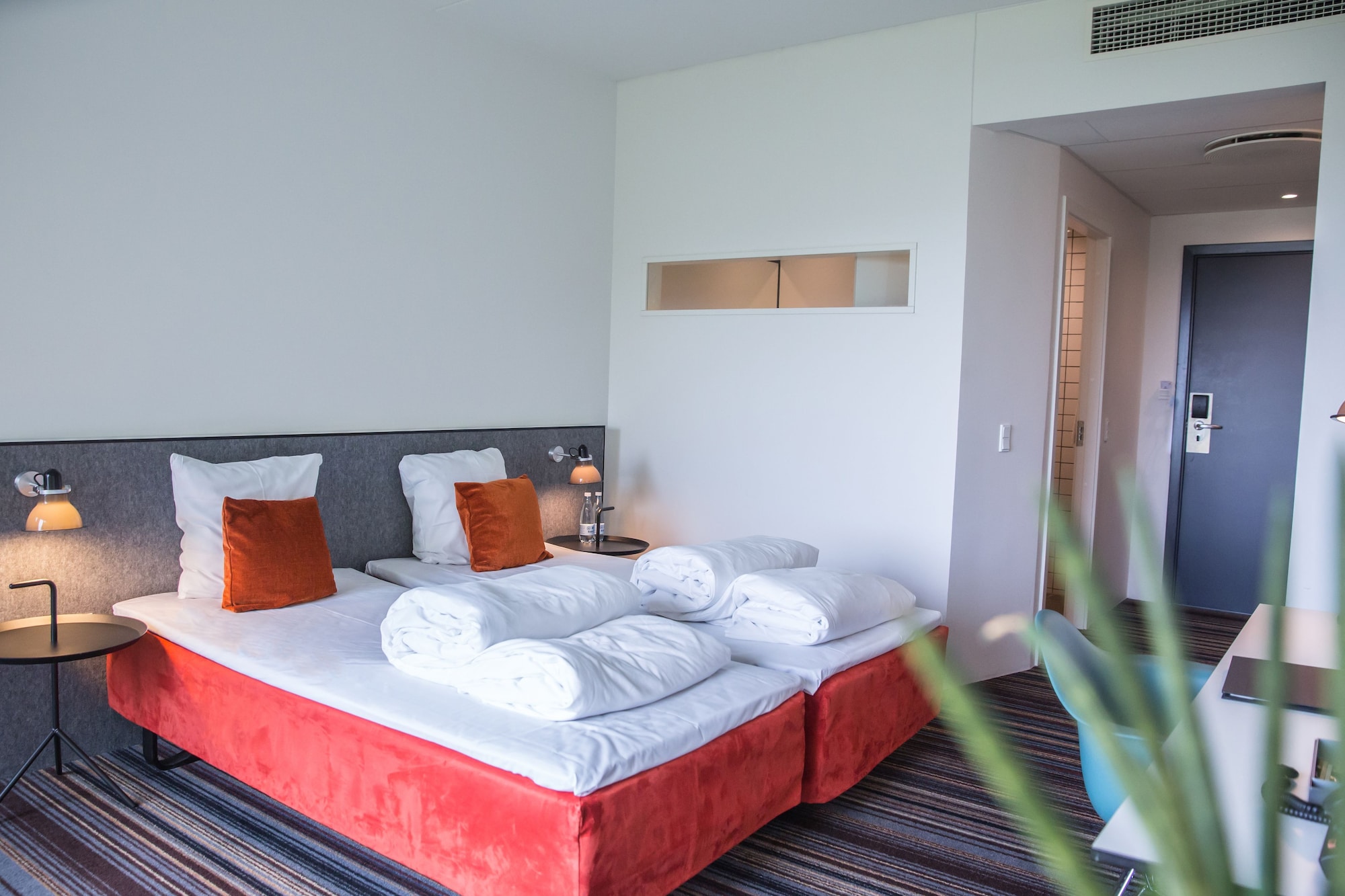 Plus, Superior, Queen Bed