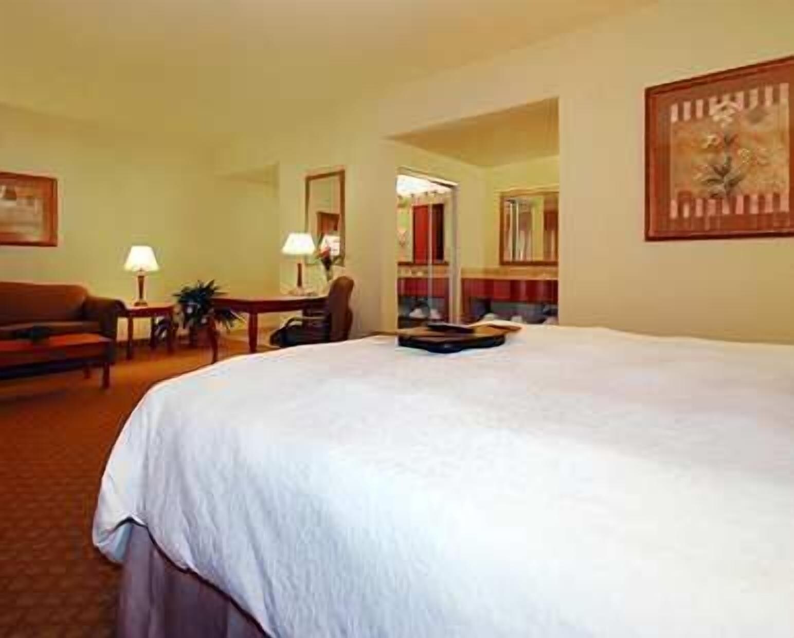 جناح استوديو بسرير كينج مع أريكة لذوي الإعاقة، Hampton Inn & Suites Pharr, TX 5/10