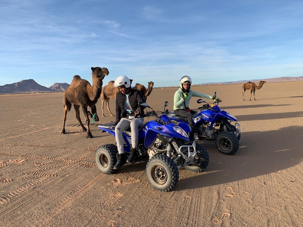 Bivouac Draa - Nuit dans le desert 7/17