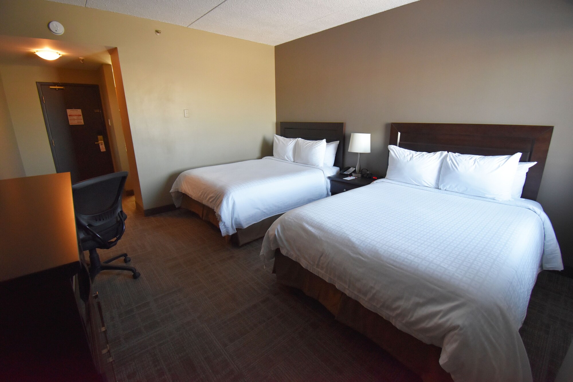 Room, Queen Bed