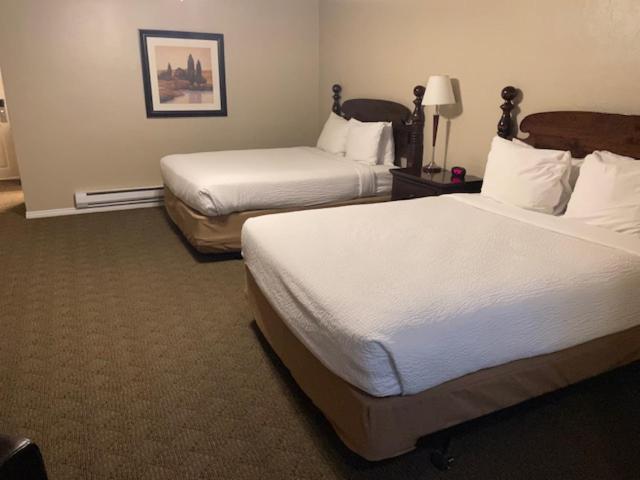 1 Bedroom, Suite