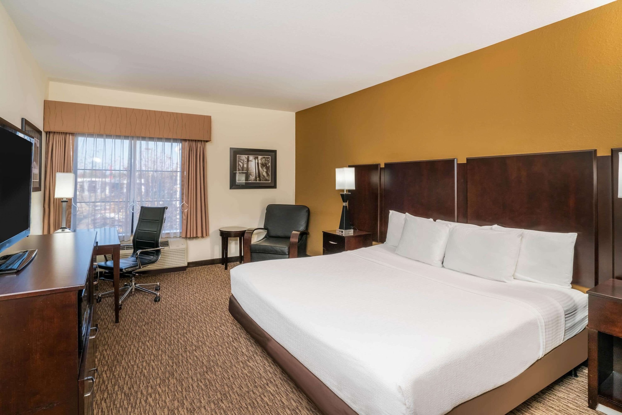 STUDIO, SUITE, KING BED, ACCESSIBLE
