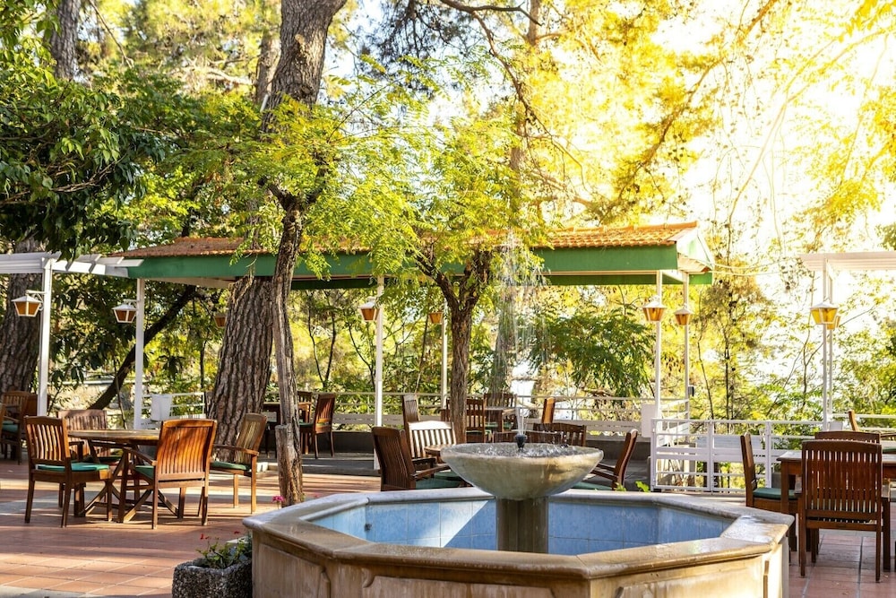 Forest Park Hotel 48/65