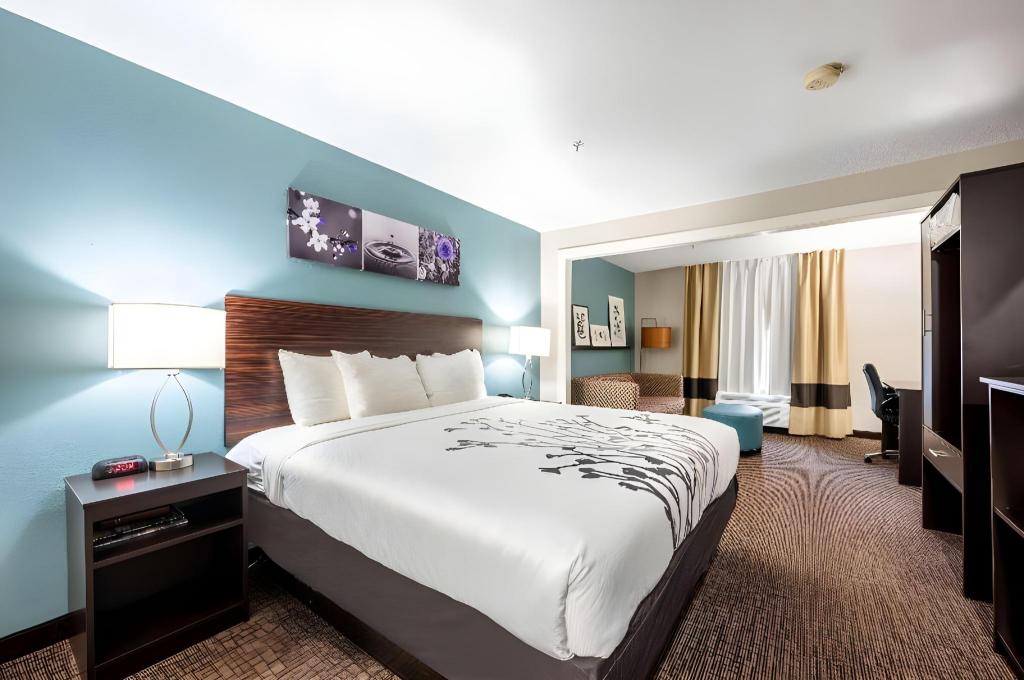 SUITE, KING BED