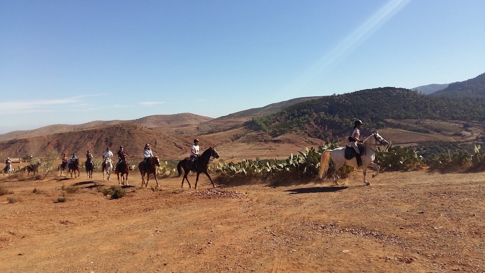 Terre D'Amanar 47/50