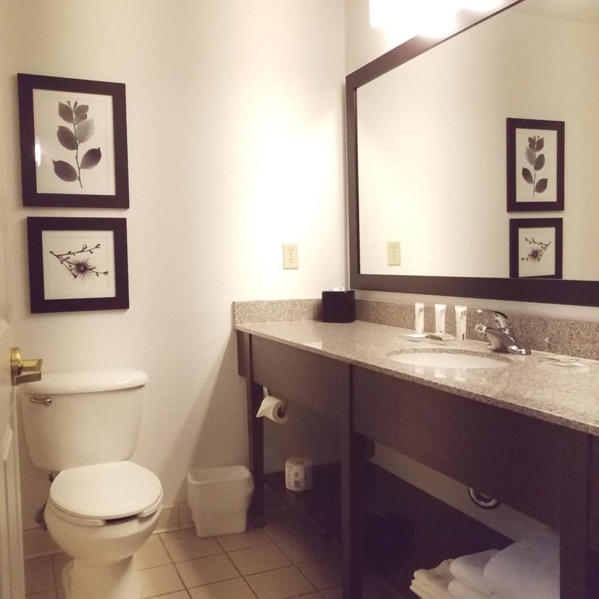 غرفة قياسية بسرير كينج، Country Inn Suites By Radisson Willmar Mn 7/7