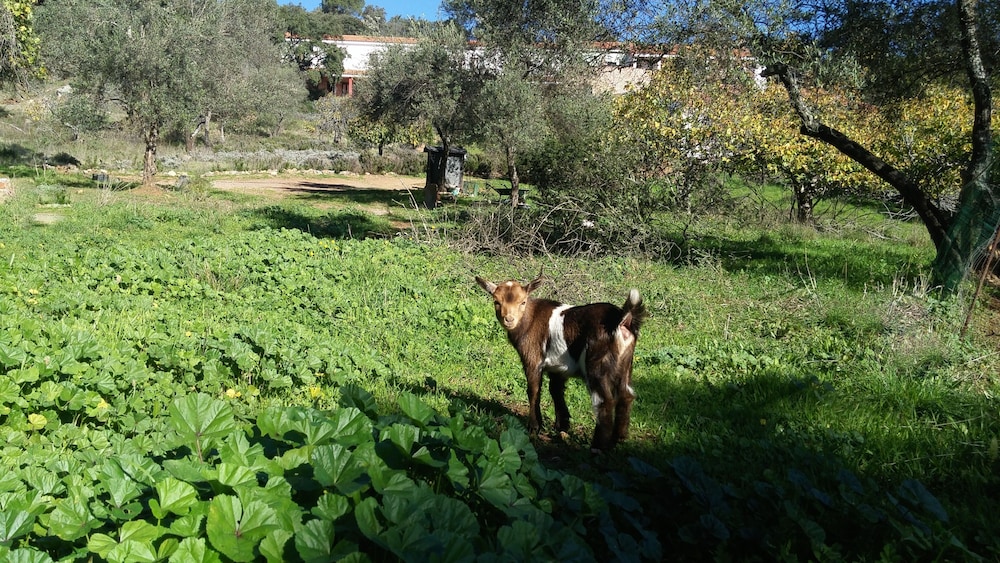 Era de Aracena 21/30