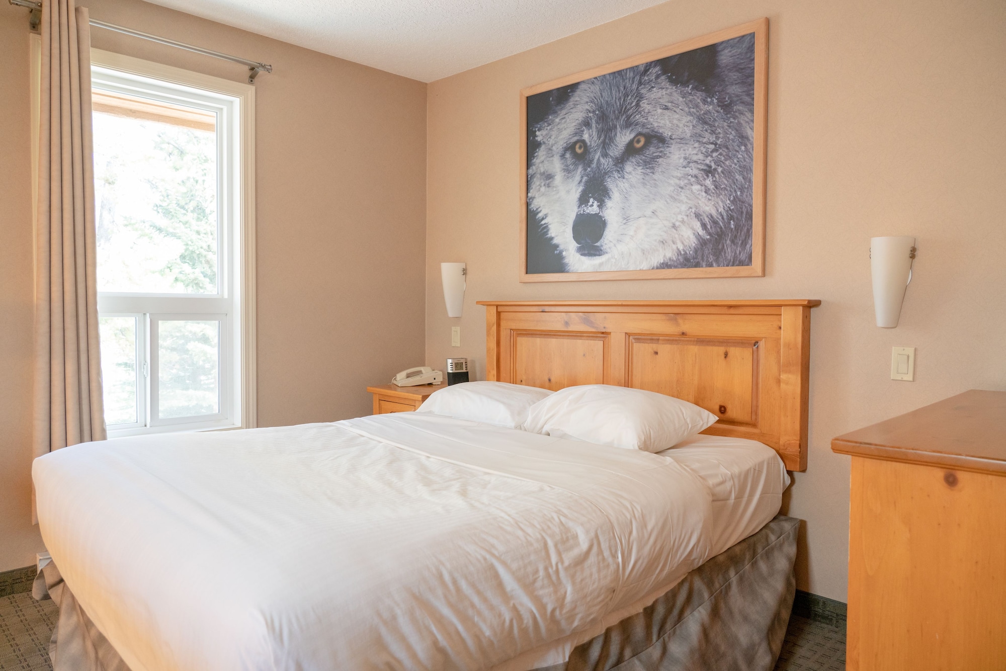 LOFT, SUITE