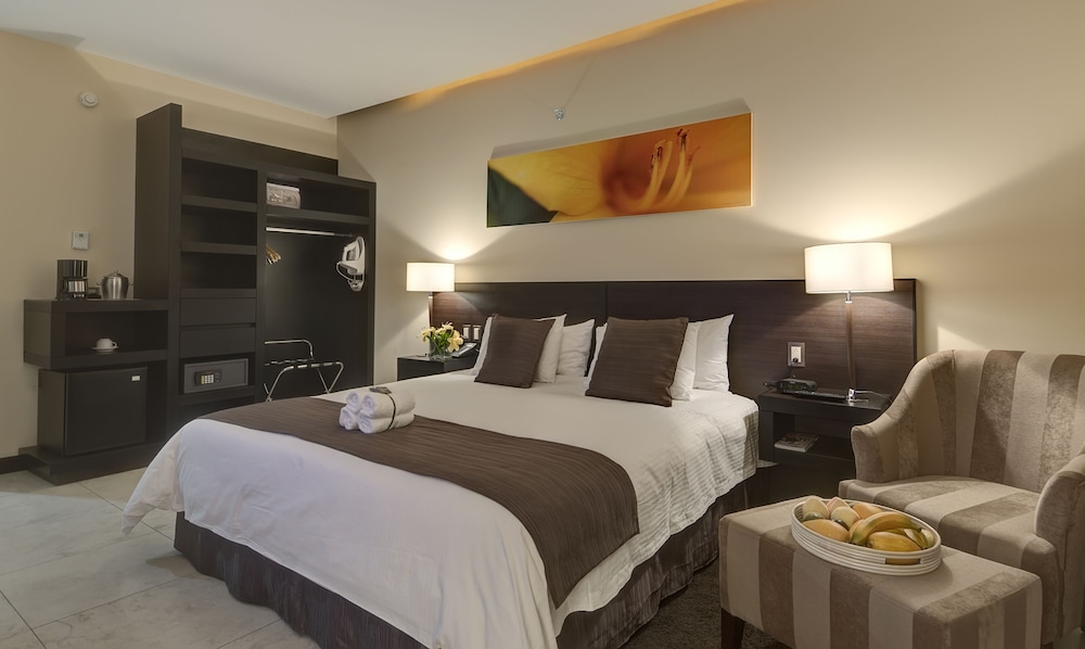 Studio Hotel Boutique 25/75