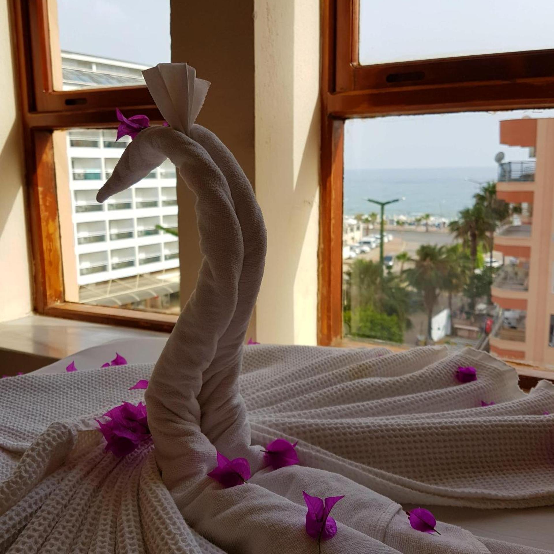 Palmen Apart Hotel 21/100
