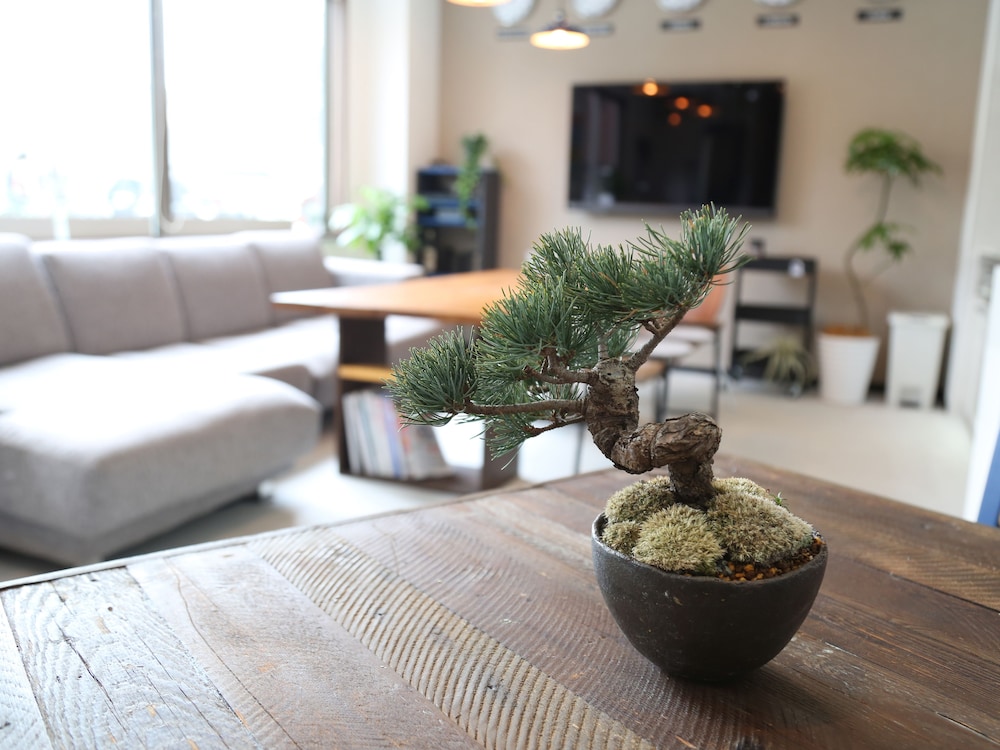 Guest House Matsu - Hostel 35/58