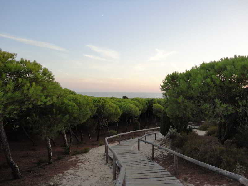 Leo Punta Umbria 46/50
