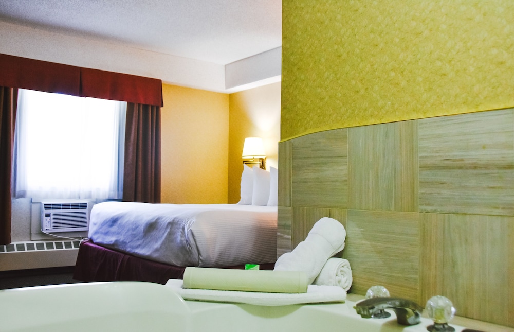 Stony Plain Inn & Suites 10/44