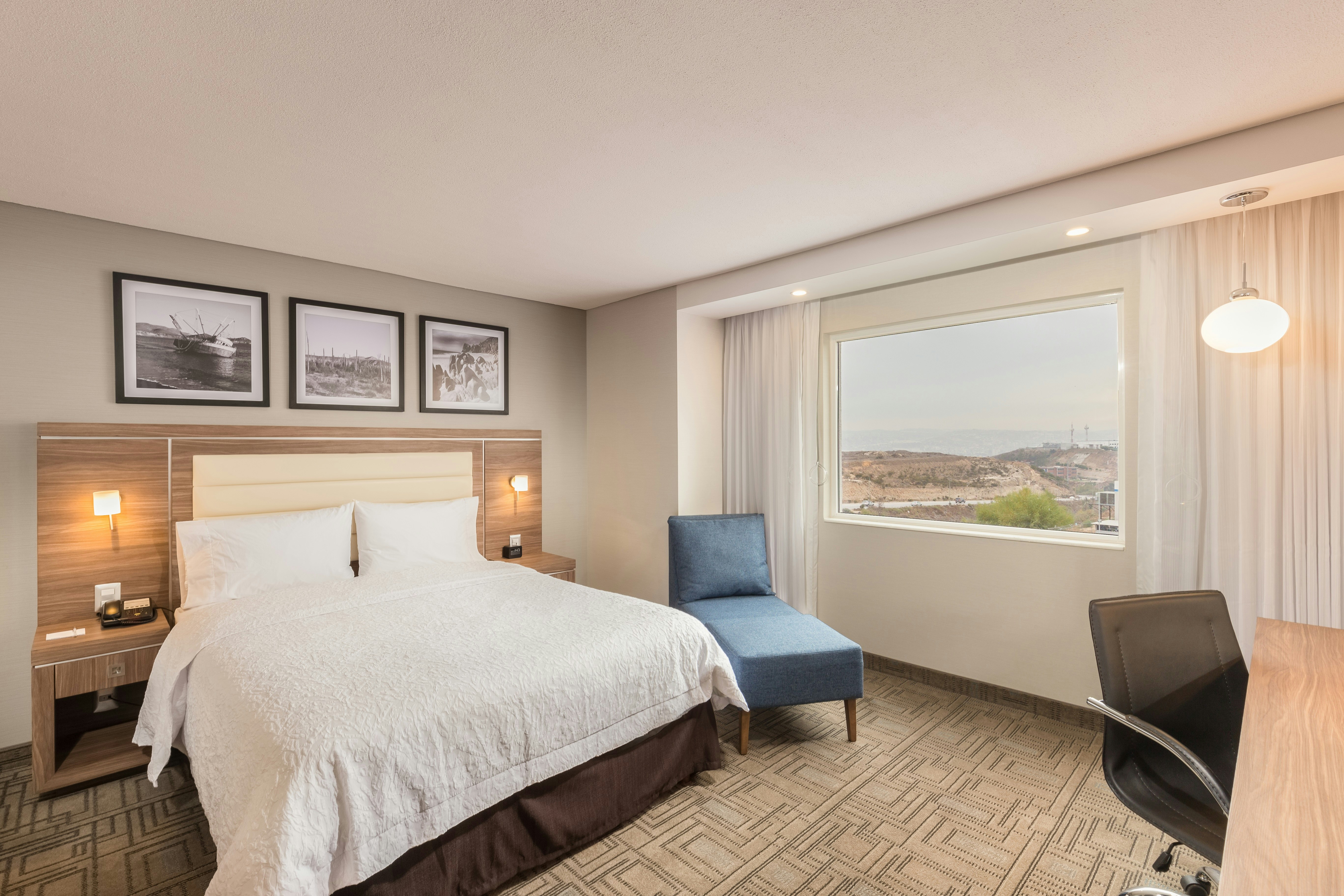 ROOM, QUEEN BED, ACCESSIBLE