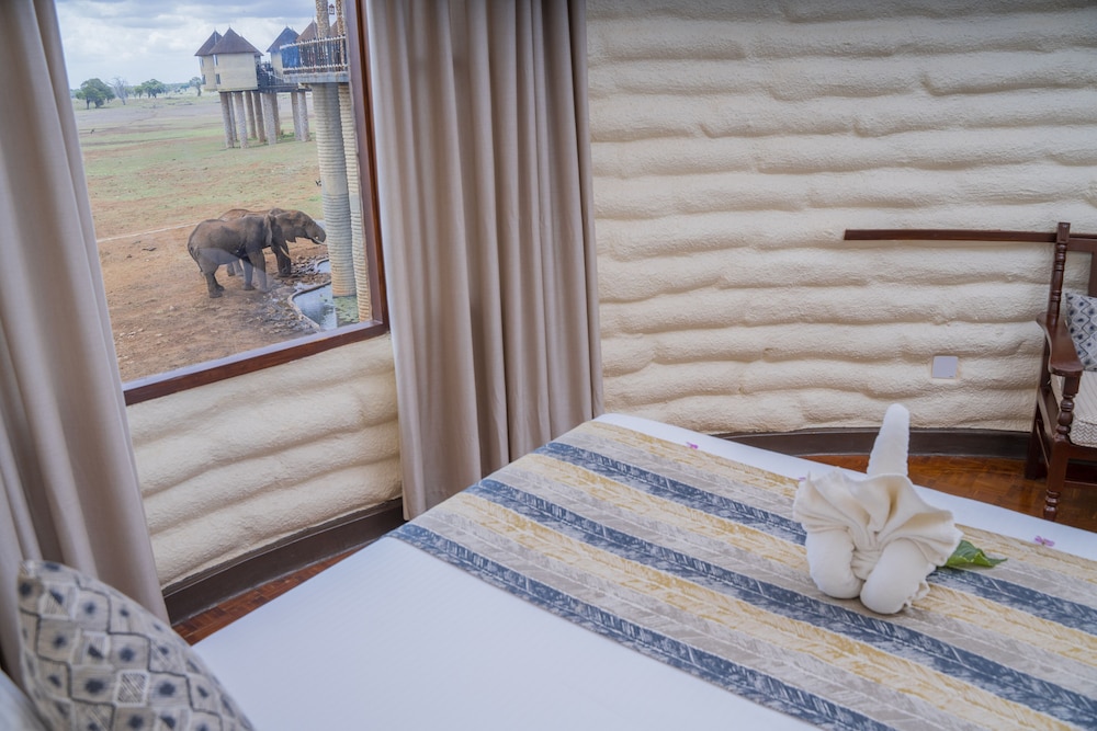 Salt Lick Safari Lodge 22/55