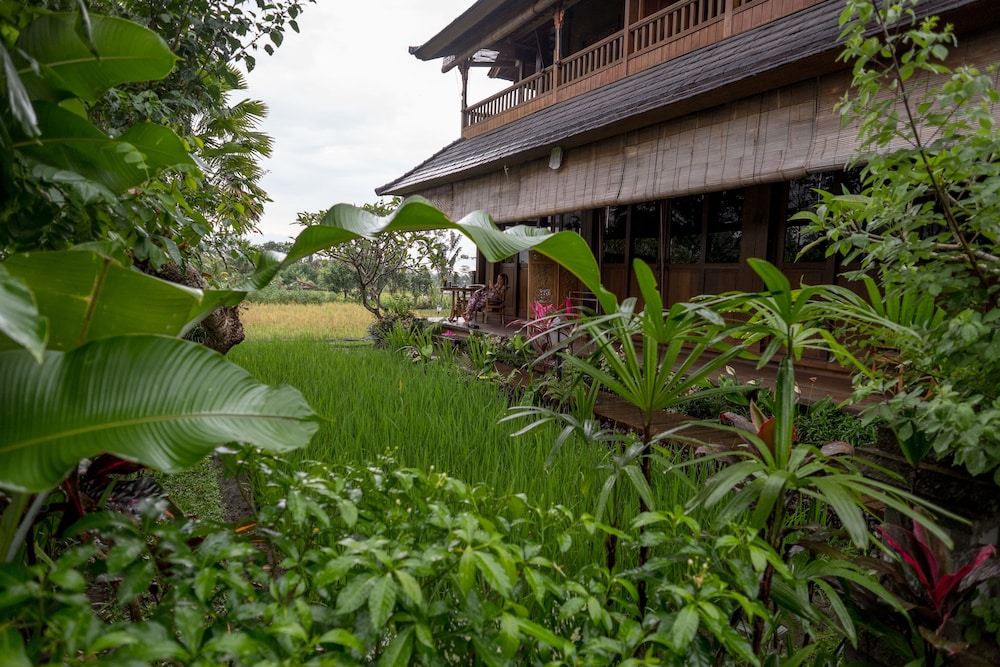 Bliss Ubud Spa Resort 69/71