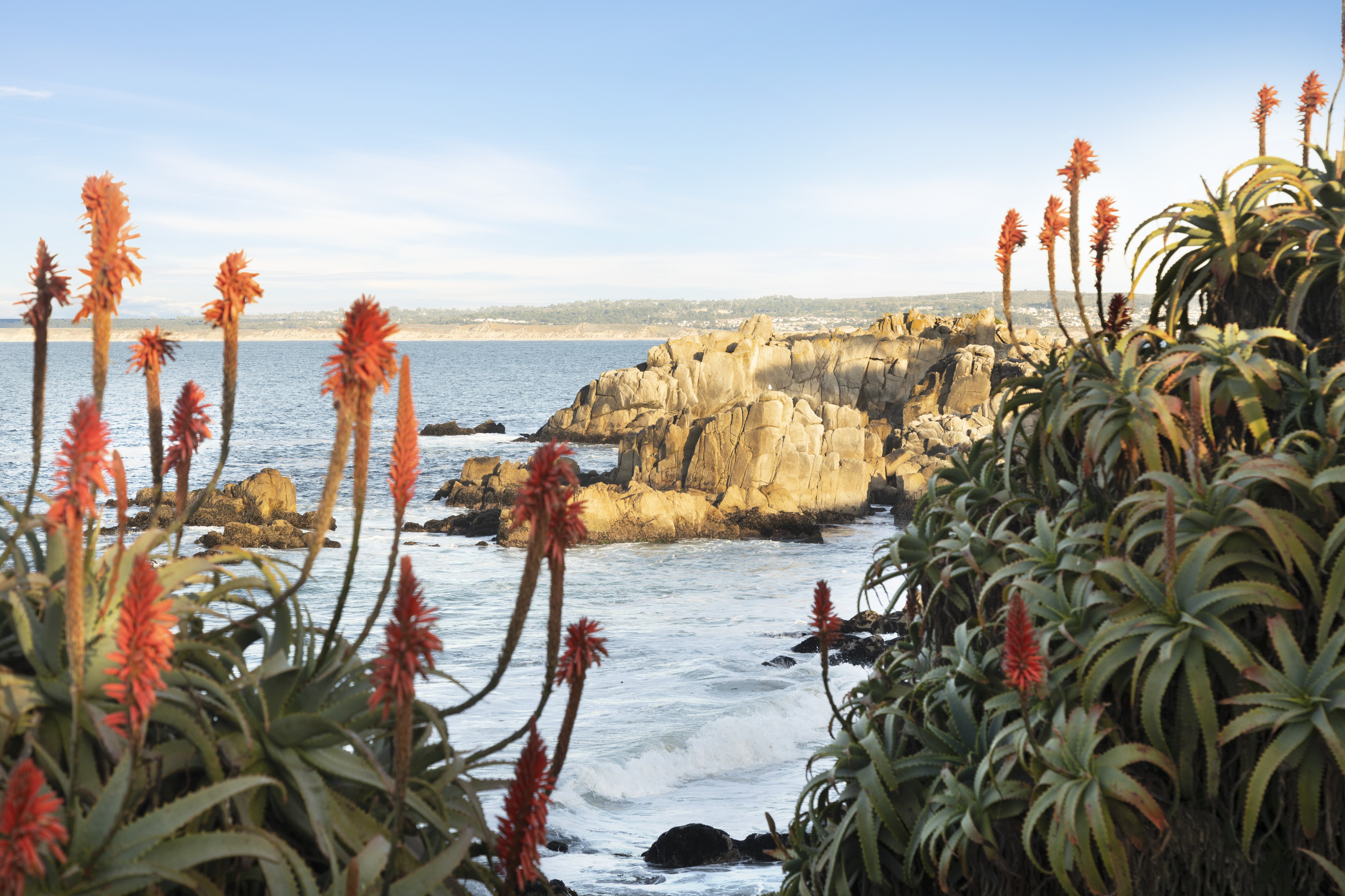 InterContinental The Clement Monterey 68/73