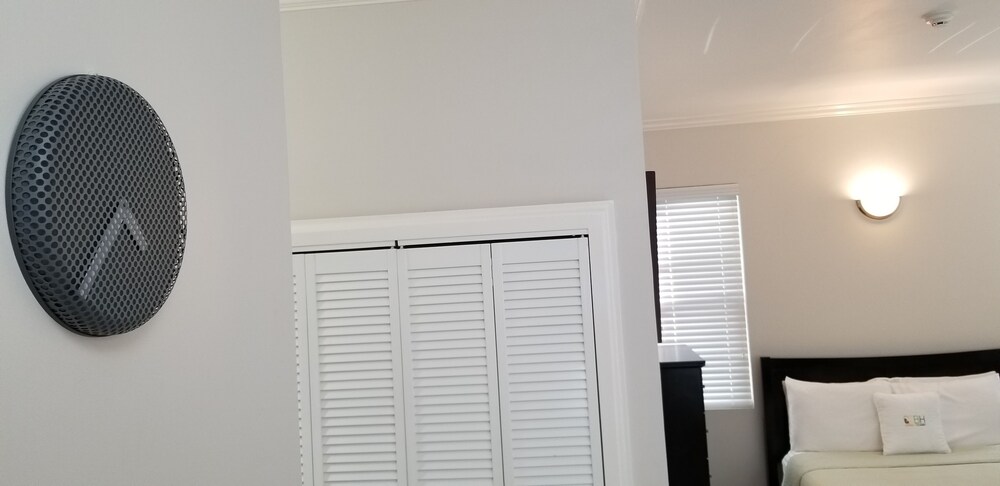 New Kingston Guest Apartment At Eight 9/26
