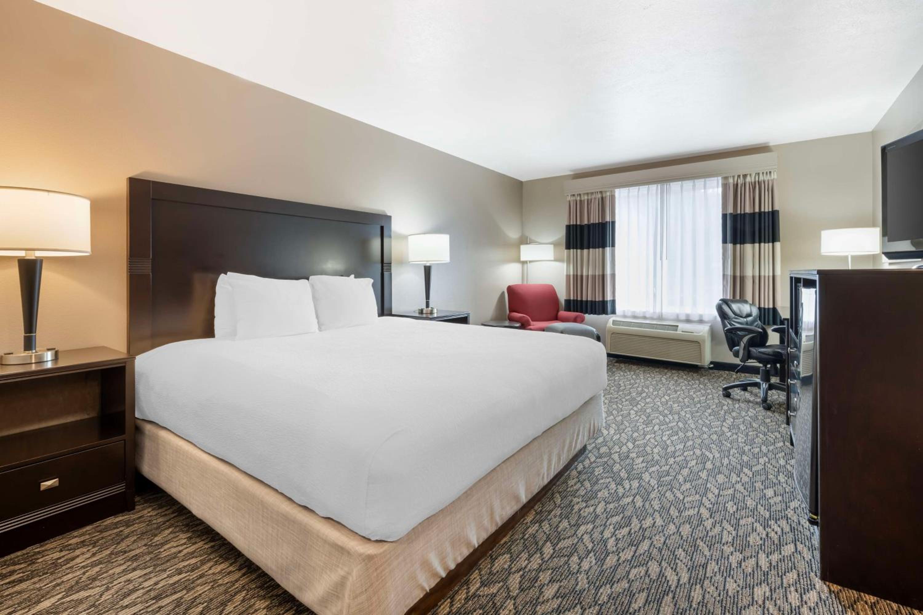 Downstairs, Suite, King Bed