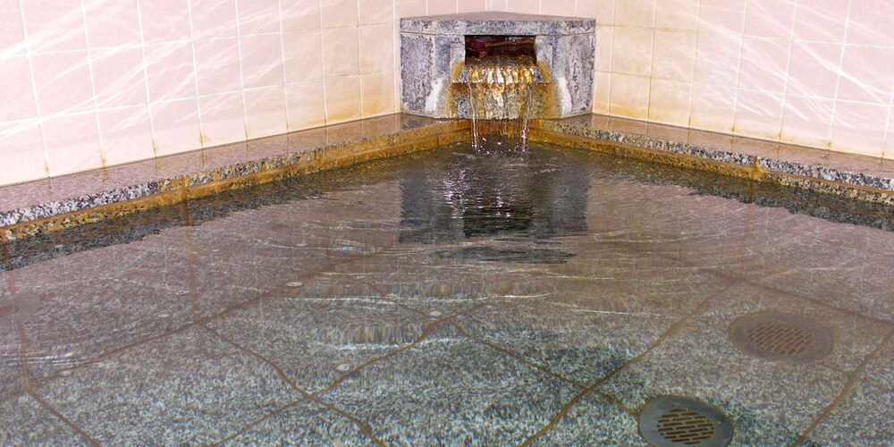 Onsen Minshuku Maruyaso 27/47