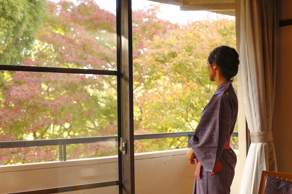 Arima Onsen SPA TERRACE Shisui 25/35