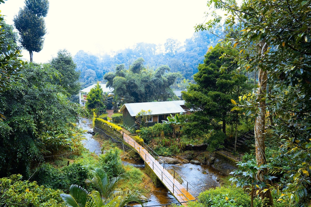 Falling Waters 38/50