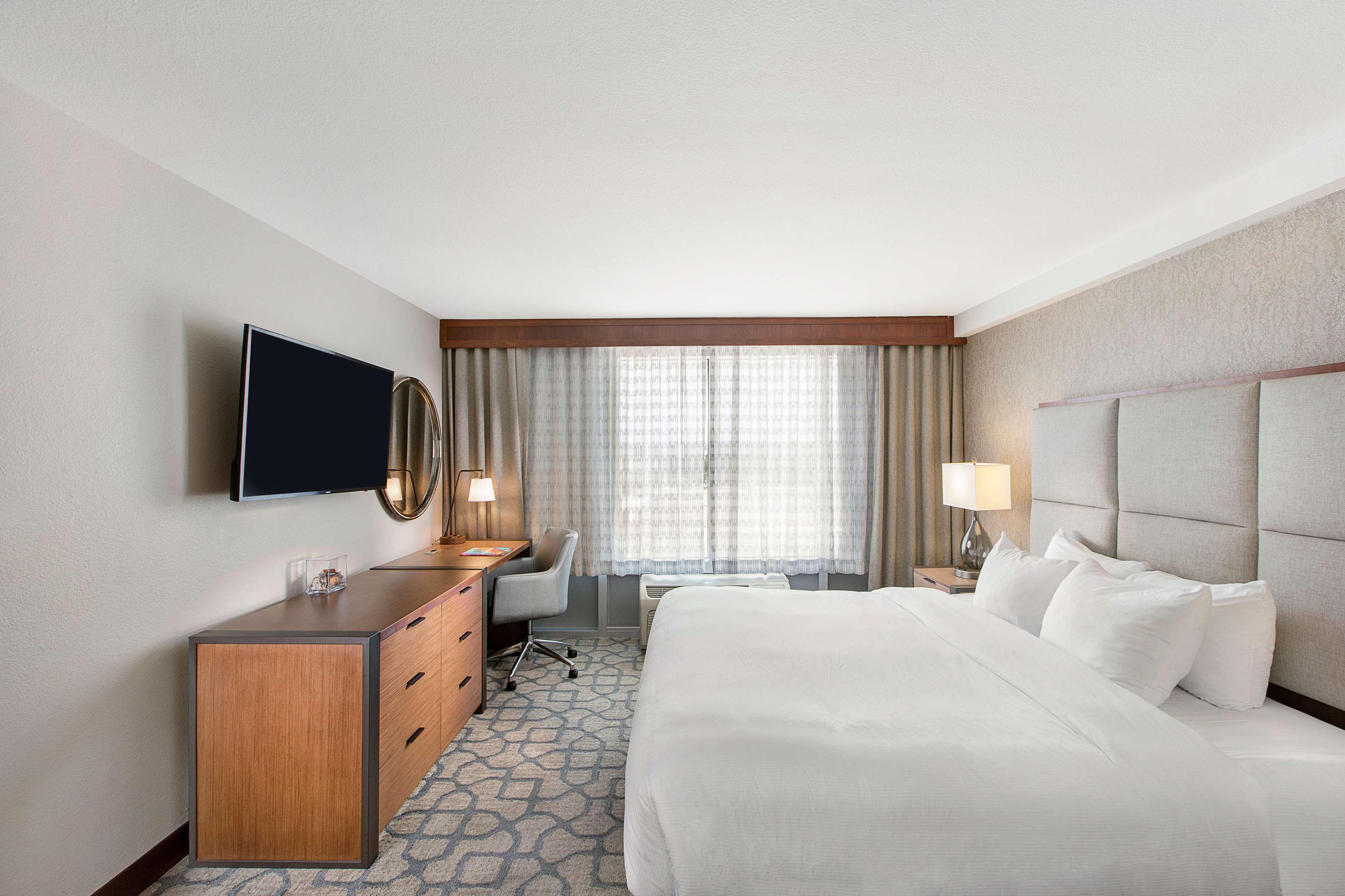 ROOM, KING BED, SOFA, LARGE