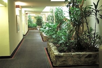 Monarch Resort 30/41