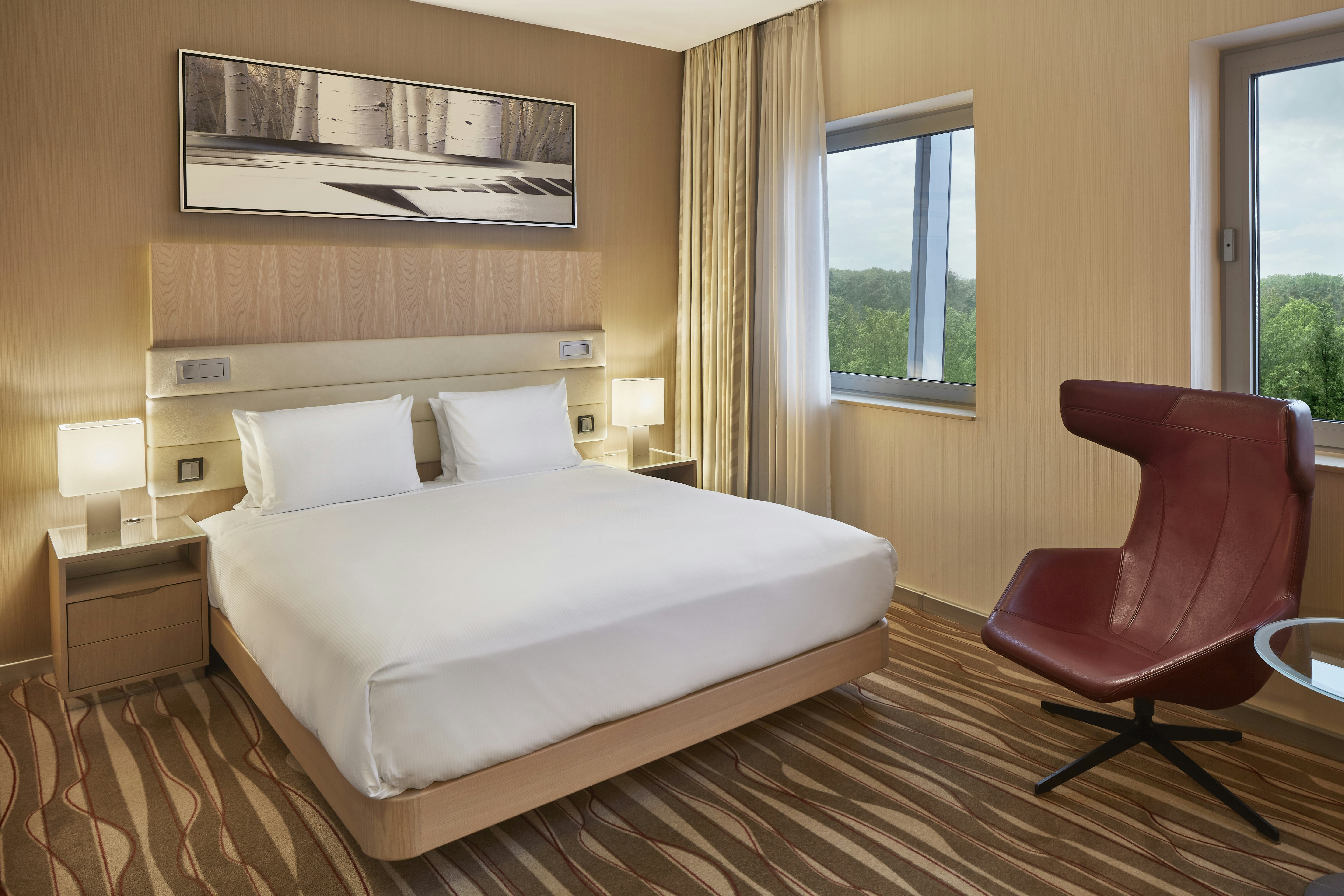 غرفة ديلوكس بسرير كينج