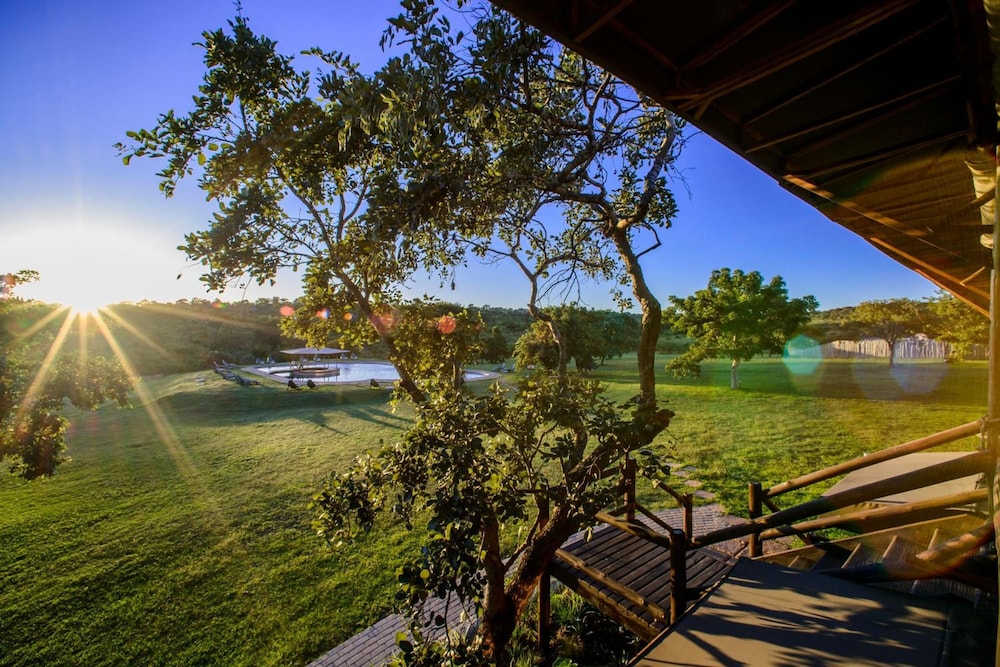 Nkambeni Safari Camp 59/64