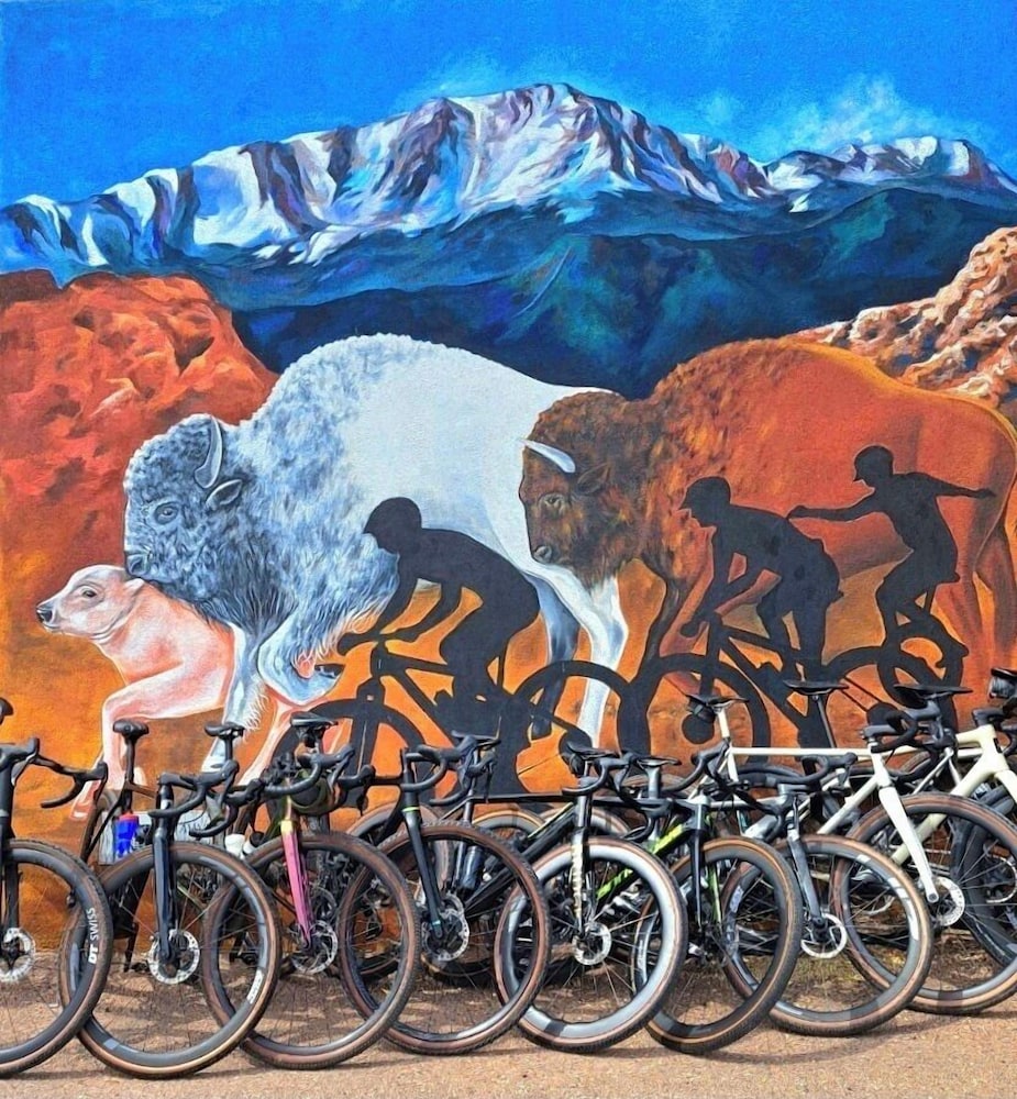 Buffalo Lodge Bicycle Resort 47/50