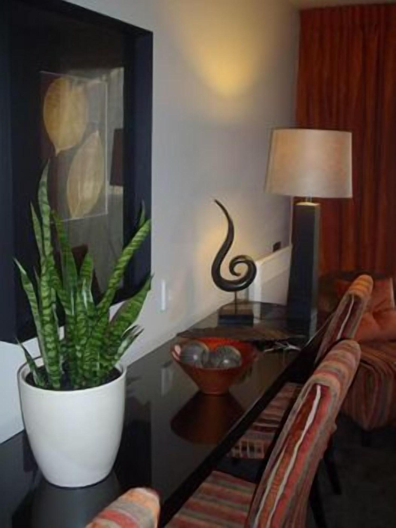 Terra Vive Luxury Suites and Apartments photo5