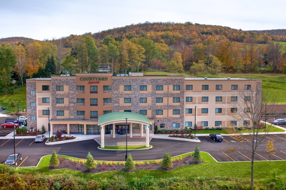 Courtyard By Marriott Oneonta Cooperstown Area 5/55