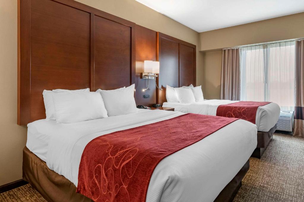 Efficiency, Suite, 2 Queen Beds