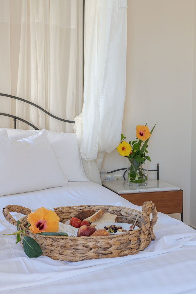Epavlis Hotel And Spa 17/50