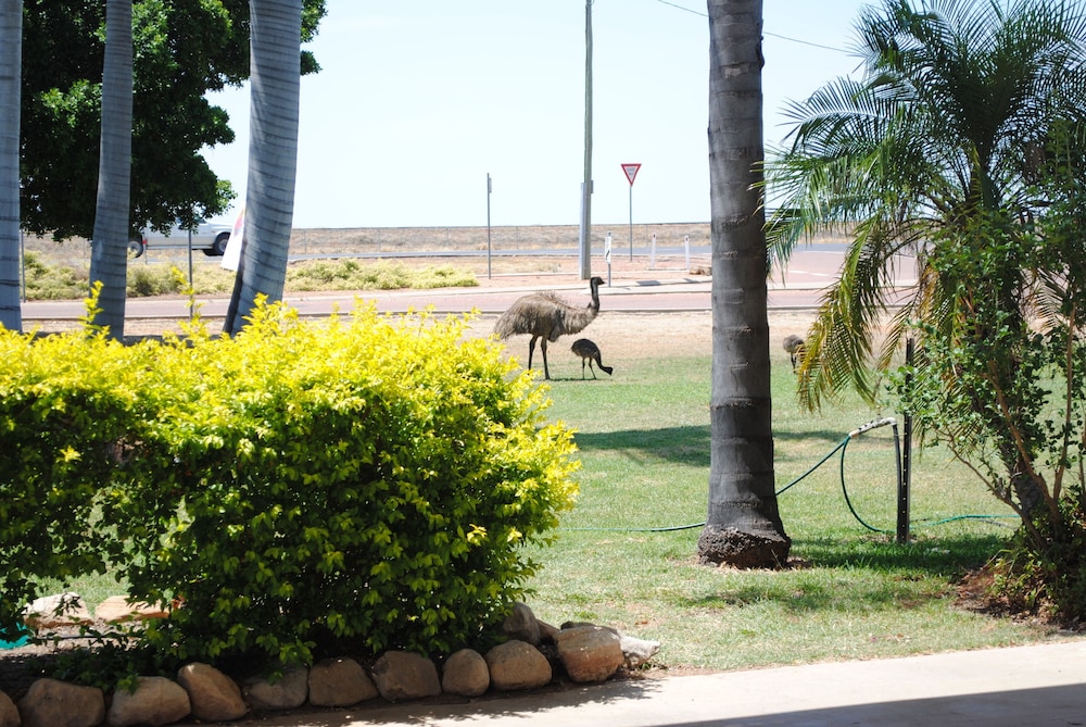 Albert Park Motor Inn 28/63