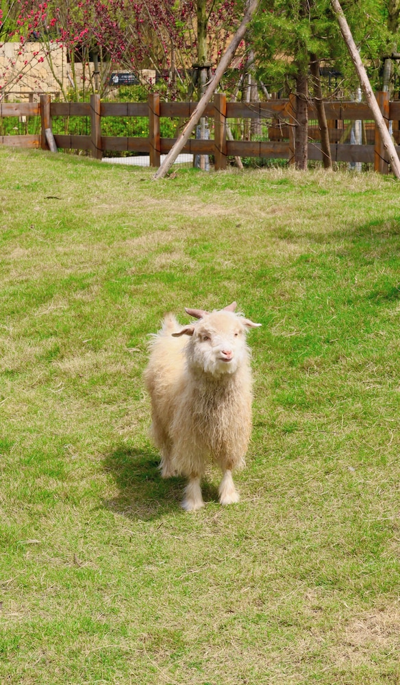 Angsana Chengdu Wenjiang 43/48