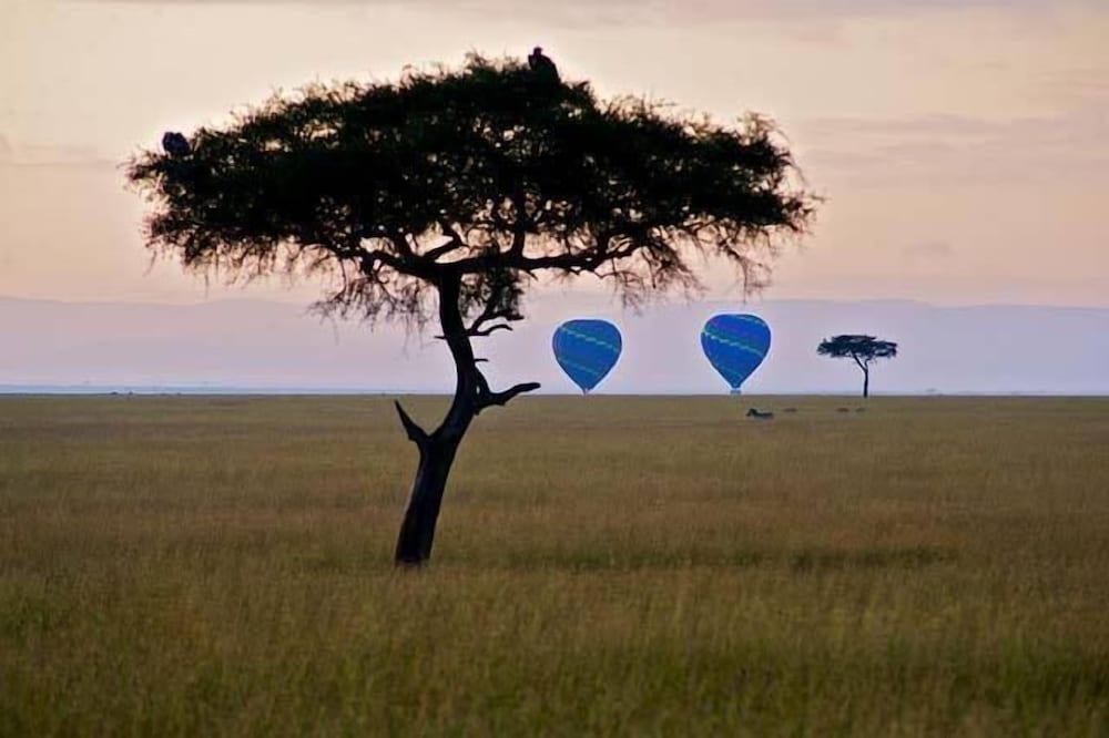 Mara Intrepids Tented Camp 31/49