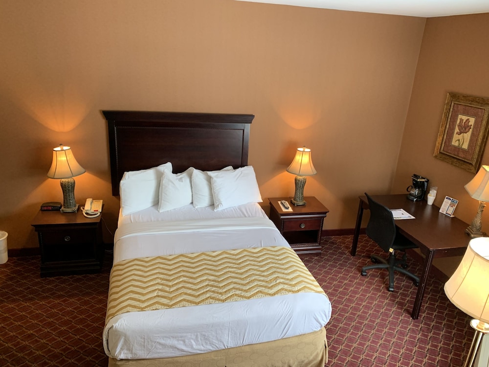 Super 8 by Wyndham Albany 5/51