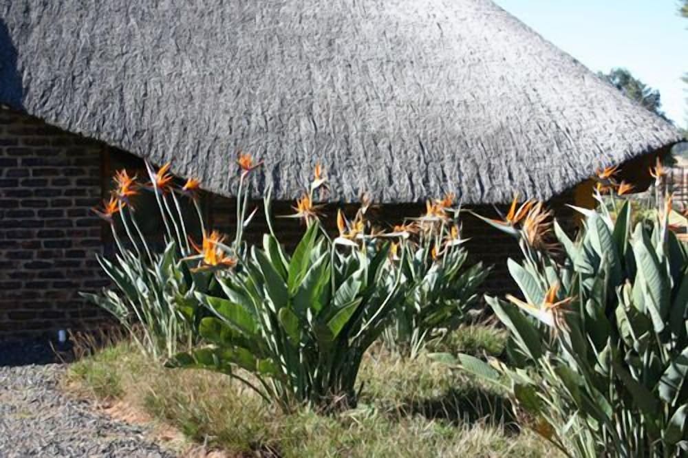 African Flair Country Lodge 20/26