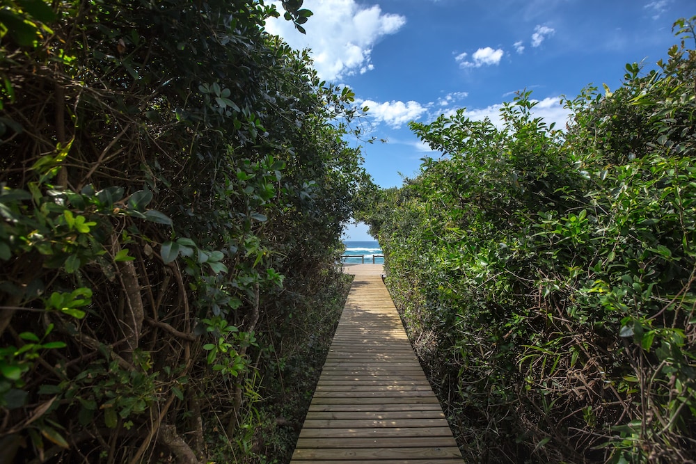 Thonga Beach Lodge 42/50