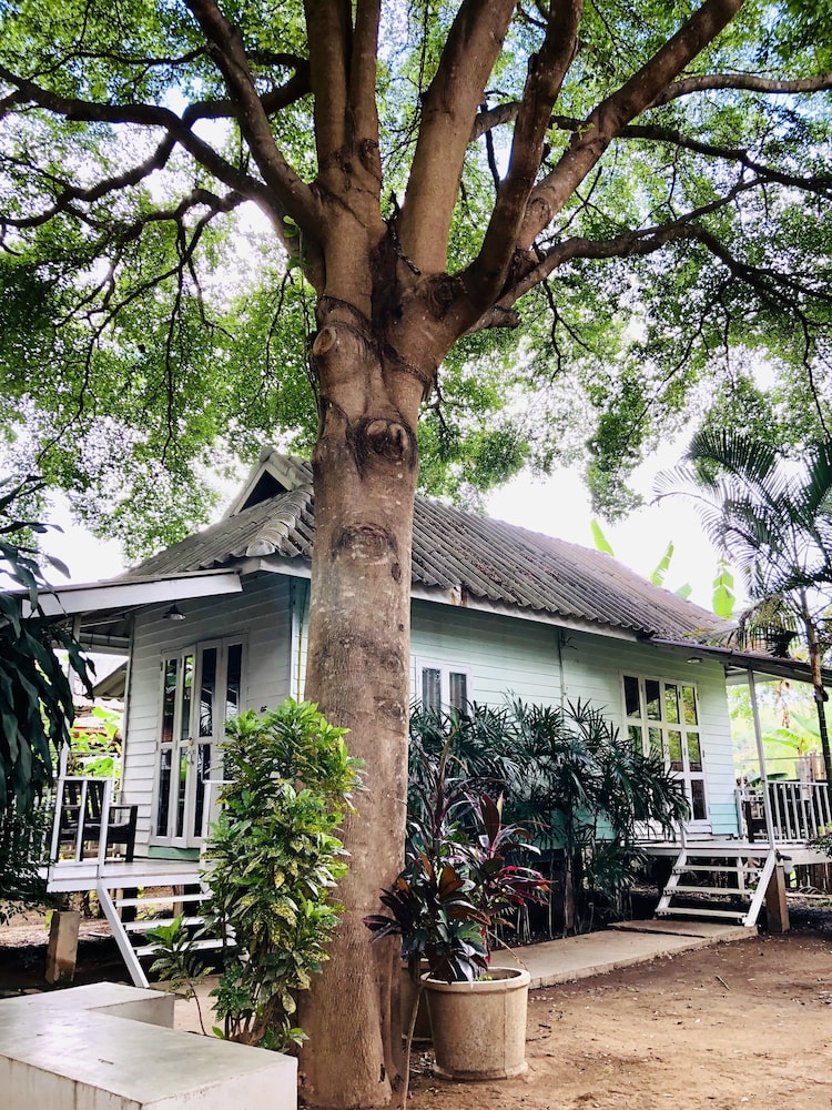 Canary Guesthouse 8/65