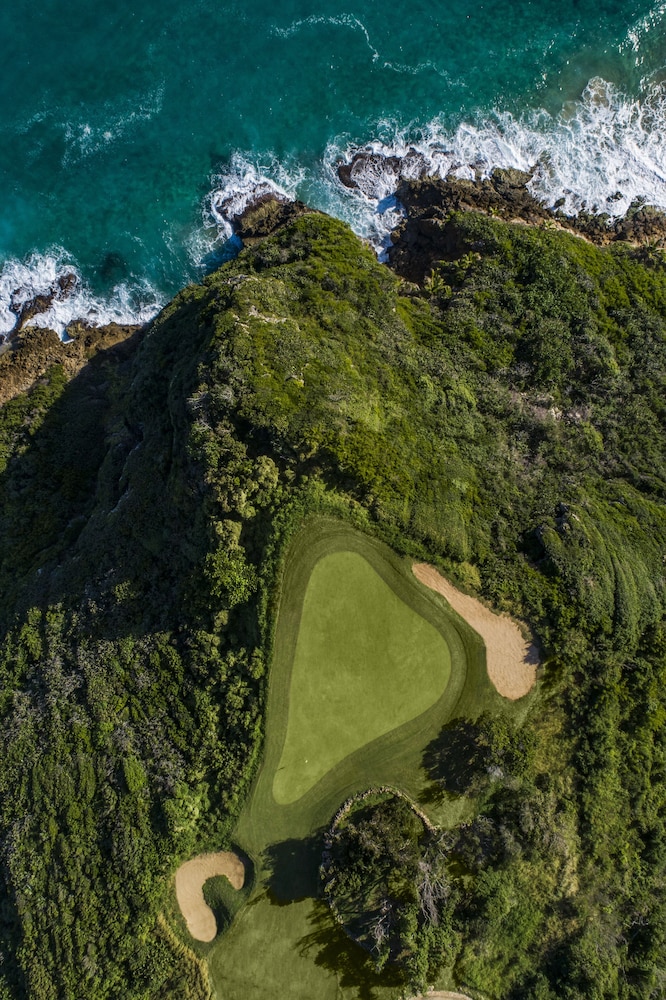 Royal Isabela 46/49