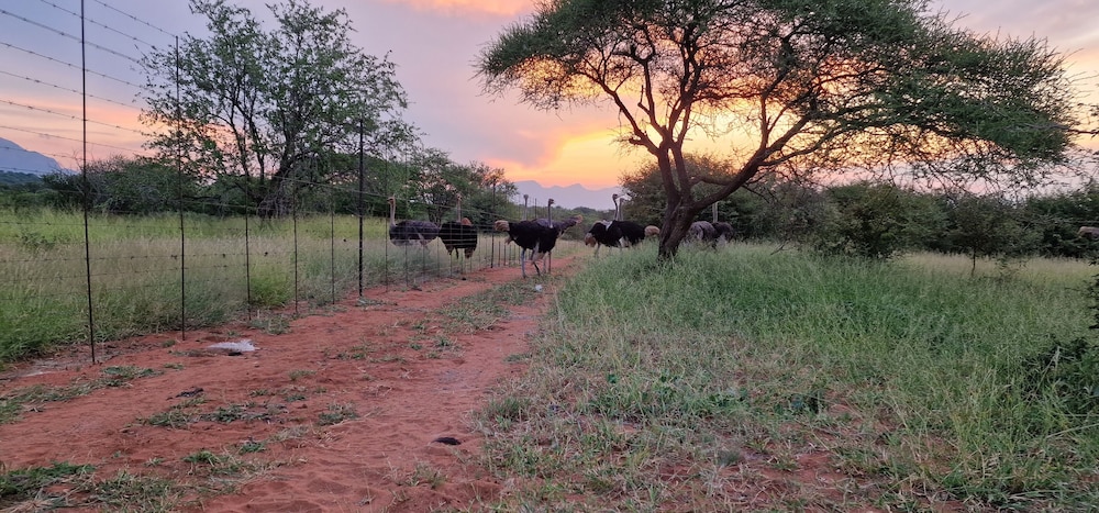 Thandolwami Bushlodge & Spa 15/26