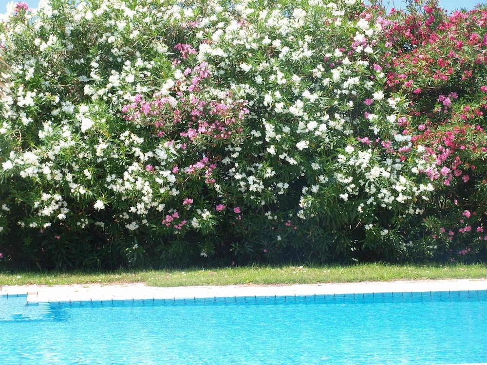 VILLA RITA photo2