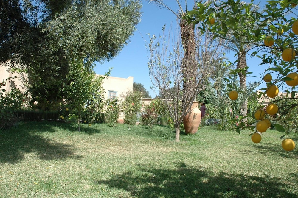 Dar Zitoune 24/68