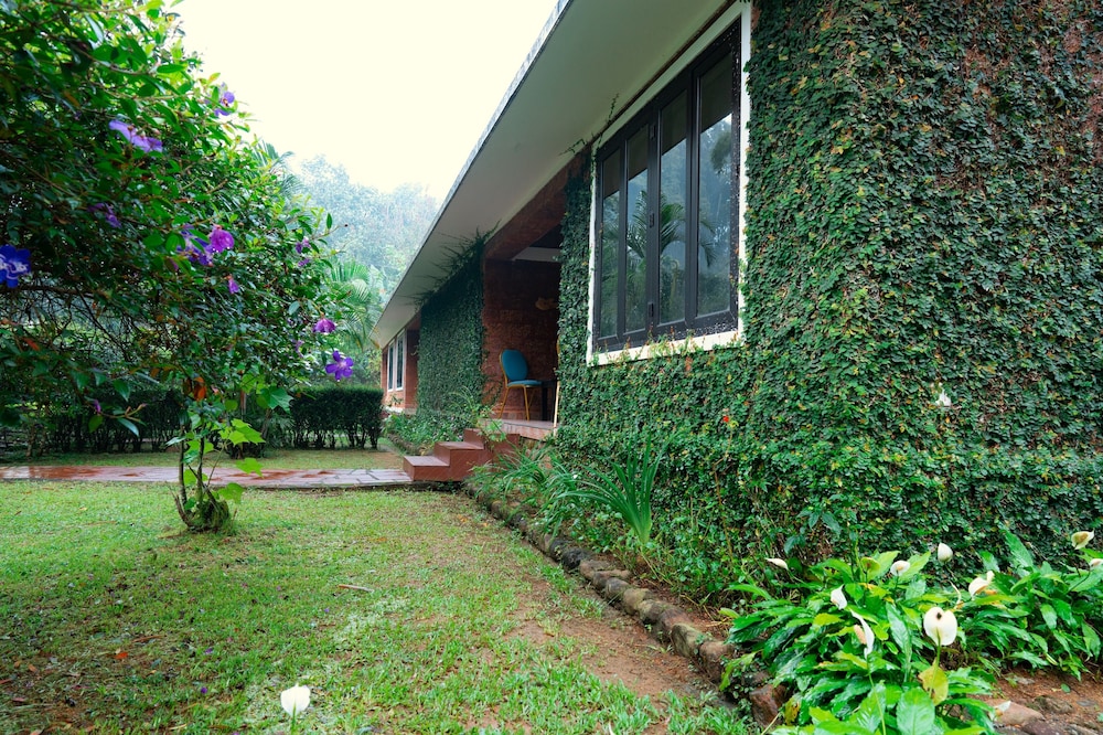 Falling Waters 39/50